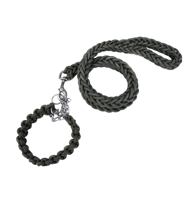 Dog Collar and Leash Set, Heavy Duty Nylon Braided Rope Strong 4 FT Dog Leash and Martingale Training Collar for Small Medium Large Dogs Training and Walking