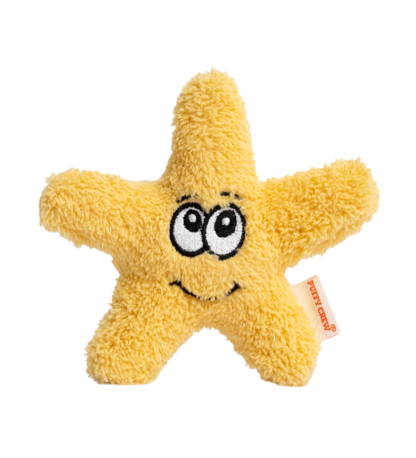 Interactive Catnip Cat Plush Toy, Ocean Theme, 5'', for All Breed Size Cats (Starfish)