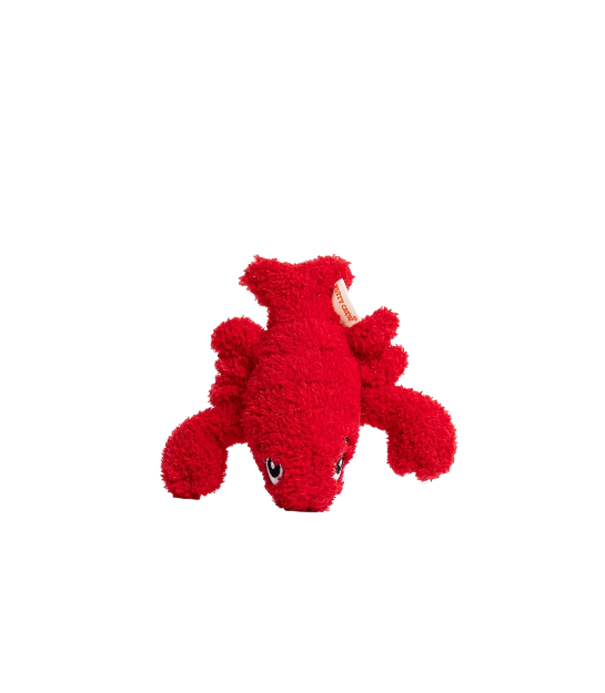 Interactive Catnip Cat Plush Toy, Ocean Theme, 5'', for All Breed Size Cats (Lobster)