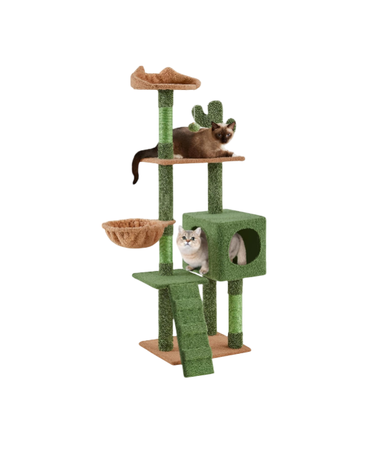 Cactus Cat Tree | 59.5in Cat Tower w/Cute Perch, Cozy Condo, Convenient Climbing Ladder | Moppy Fabric-Covered Cat House for Indoor Cats | Green/Brown