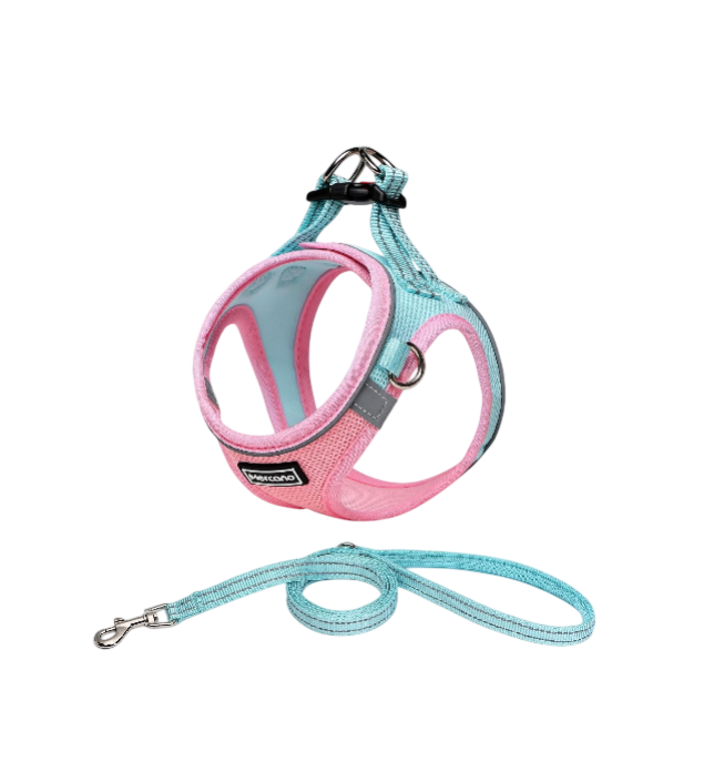 Soft Mesh Dog Harness and Leash Set, No-Chock Step-in Reflective Breathable Lightweight Easy Walk Vest Harnesses with Safety Buckle for Small Dogs, Cats (S, Pink Blue)