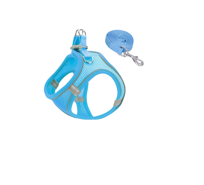 Pink Soft Mesh Dog Harness and Leash Set,No Escape Puppy Harnesses for Training Walking， Reflective Adjustable Puppy Vest for Small Medium Dogs, Cats (Blue, S)