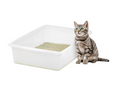 Large Open Top Cat Litter Box, Kitty Litter Pan, Pearl
