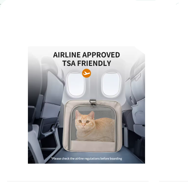Cat Trolley Carrier for 2 Cats, Large Pet Transport Box with Wheels, Rolling Cat Carrier with Safety Belts, Foldable Travel Bag for Cats & Small Dogs, Airline-Friendly Design