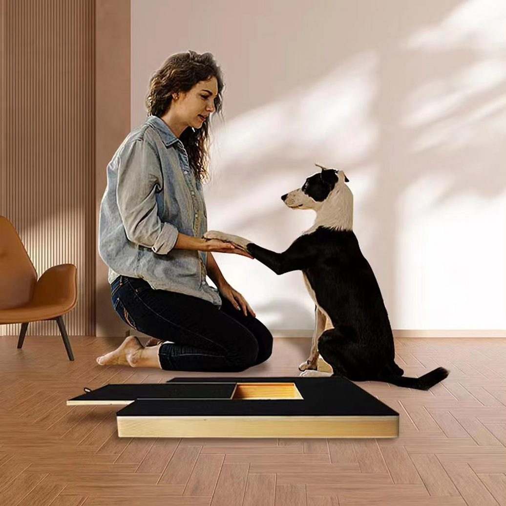 Interactive Dog Nail Scratch Board with Treat Drawer