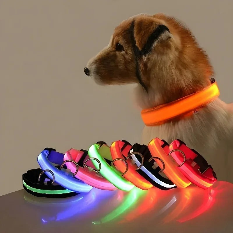 Dog Collar Nylon LED Night Safety Flashing Glow In The Dark Pet Dog Leash pet Dogs Luminous Fluorescent dog accessories collar (L)