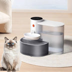 Semi-Enclosed Toilet,Anti-Spill Design,Thickened Structure Odor Blocking, Simple Pet Litter Box,High Side Anti-Splashing, Semi-Enclosed Removable Cats Litter Boxes, Easy to-Clean