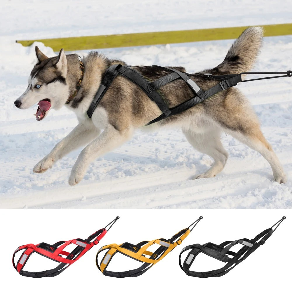 Waterproof Dog Sledding Harness Reflective Pet Sledding Skijoring Harness Big Large Dogs Weight Pulling Vest For Pet Training (65cm - 85cm)