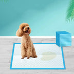 20-Pack Ultra Absorbent Pet Diaper Pads for Dogs &Cats Odor-Control Puppy Pee Mats Disposable Litter Toilet Solutions