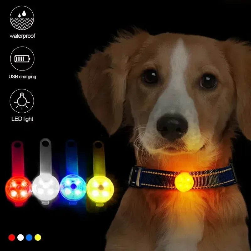 Rechargeable LED Safety Collar for Dogs & Cats