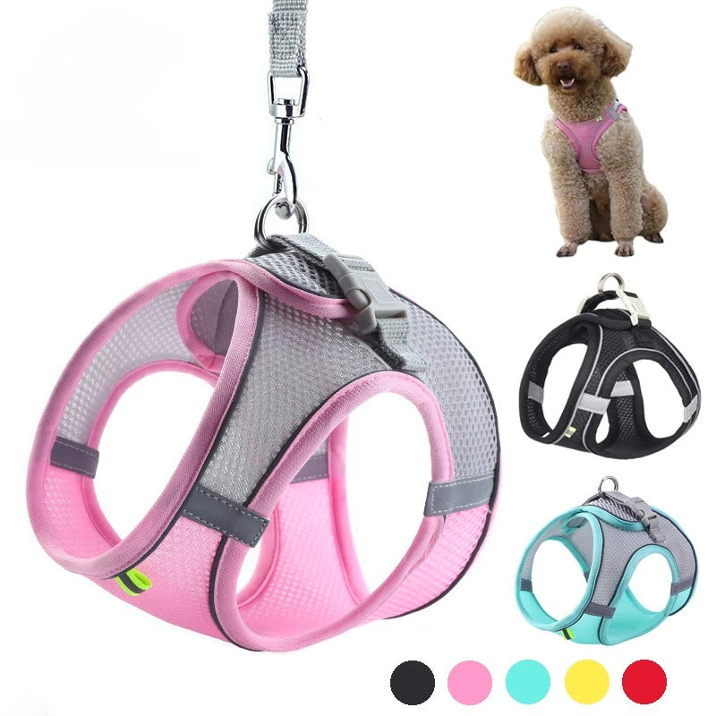 Puppy Harness, Collar & Leash Set (6–10 kg)
