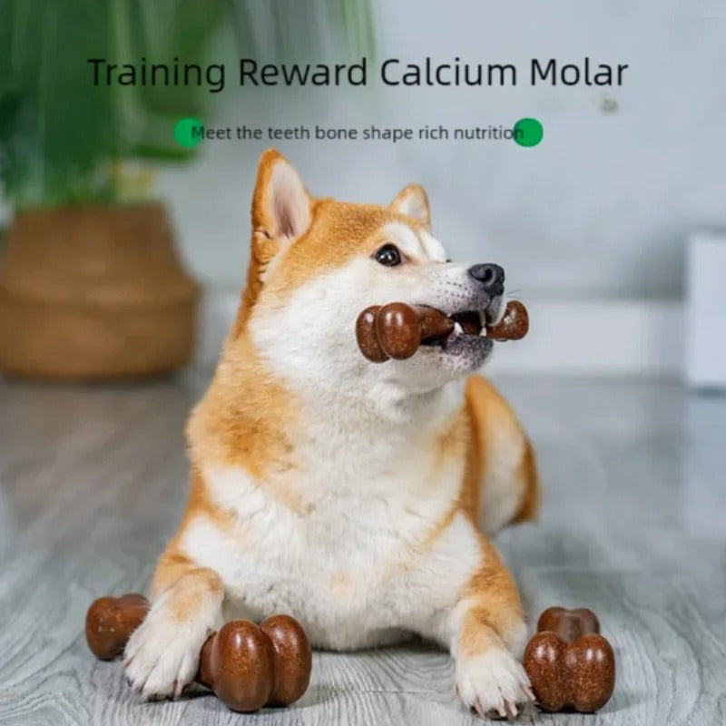 Natural Non-Toxic Indestructible Dog Bone Chew Toy Anti-Bite Puppy Teething Chew Toy for Small Medium Large Dogs Pet Chewbone