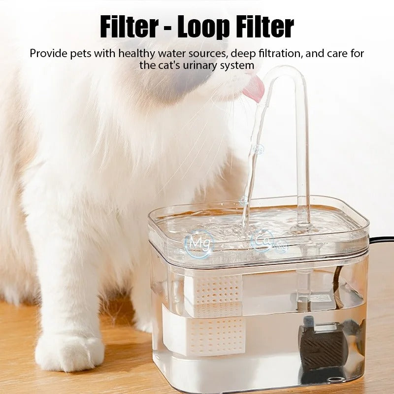 Clear Cat Water Fountain with Filter