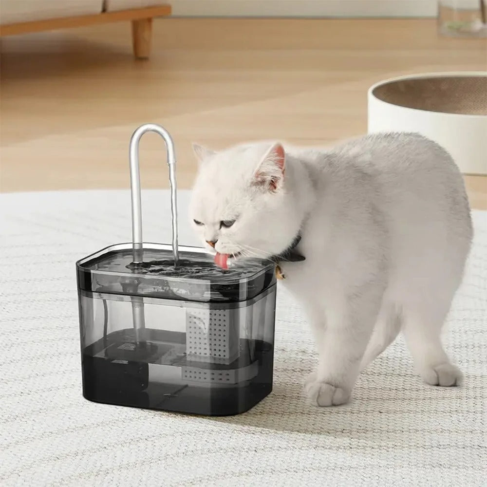 Clear Cat Water Fountain – Ultra-Quiet (Black)
