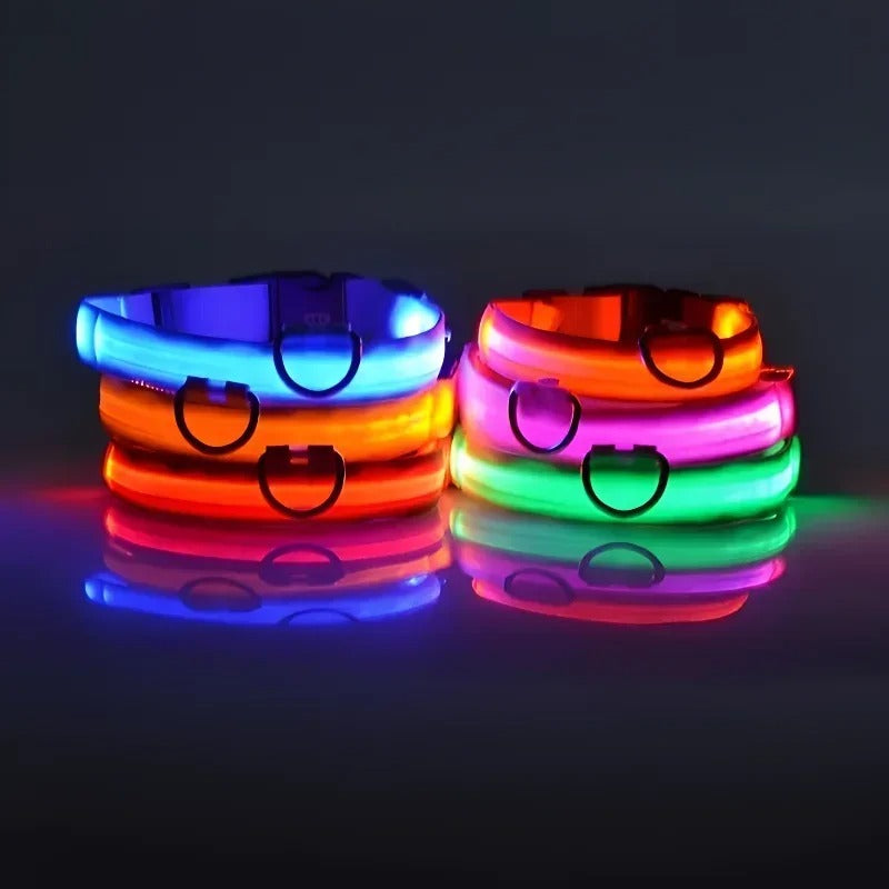 Dog Collar Nylon LED Night Safety Flashing Glow In The Dark Pet Dog Leash pet Dogs Luminous Fluorescent dog accessories collar (L)