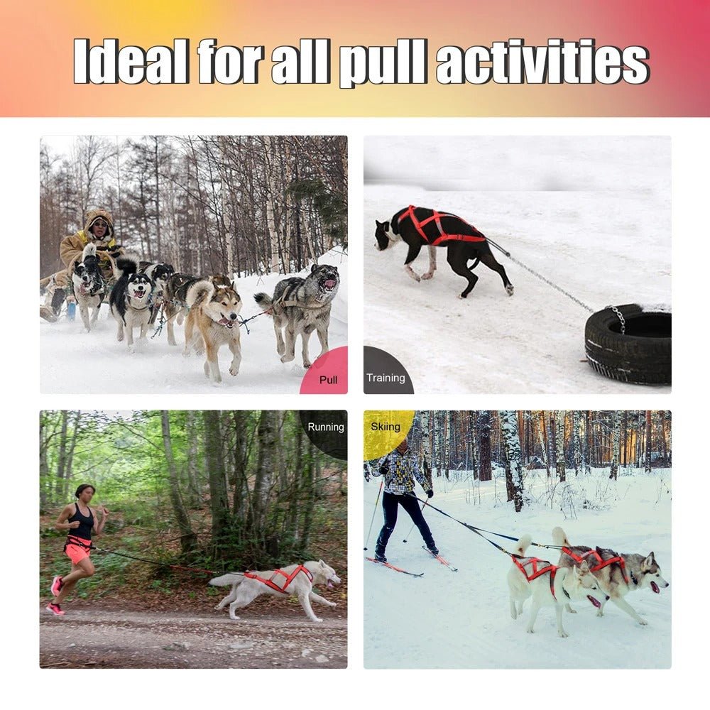 Reflective Dog Sledding & Pulling Harness