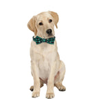 Dog Collar with Bow tie,Christmas Plaid Snowflake Dog Collar with Adjustable Buckle Suitable for Small Large Dogs Cats Pets (S)