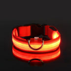 Dog Collar Nylon LED Night Safety Flashing Glow In The Dark Pet Dog Leash pet Dogs Luminous Fluorescent dog accessories collar (L)