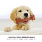 Nearly Indestructible Dog Bone Chew Toys Natural Non Toxic Anti Bite Puppy Toys For Small Medium Large Dogs Pet Dental Chewing