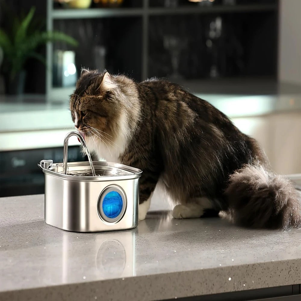 Stainless Steel Pet Water Fountain with Window (3.2L)