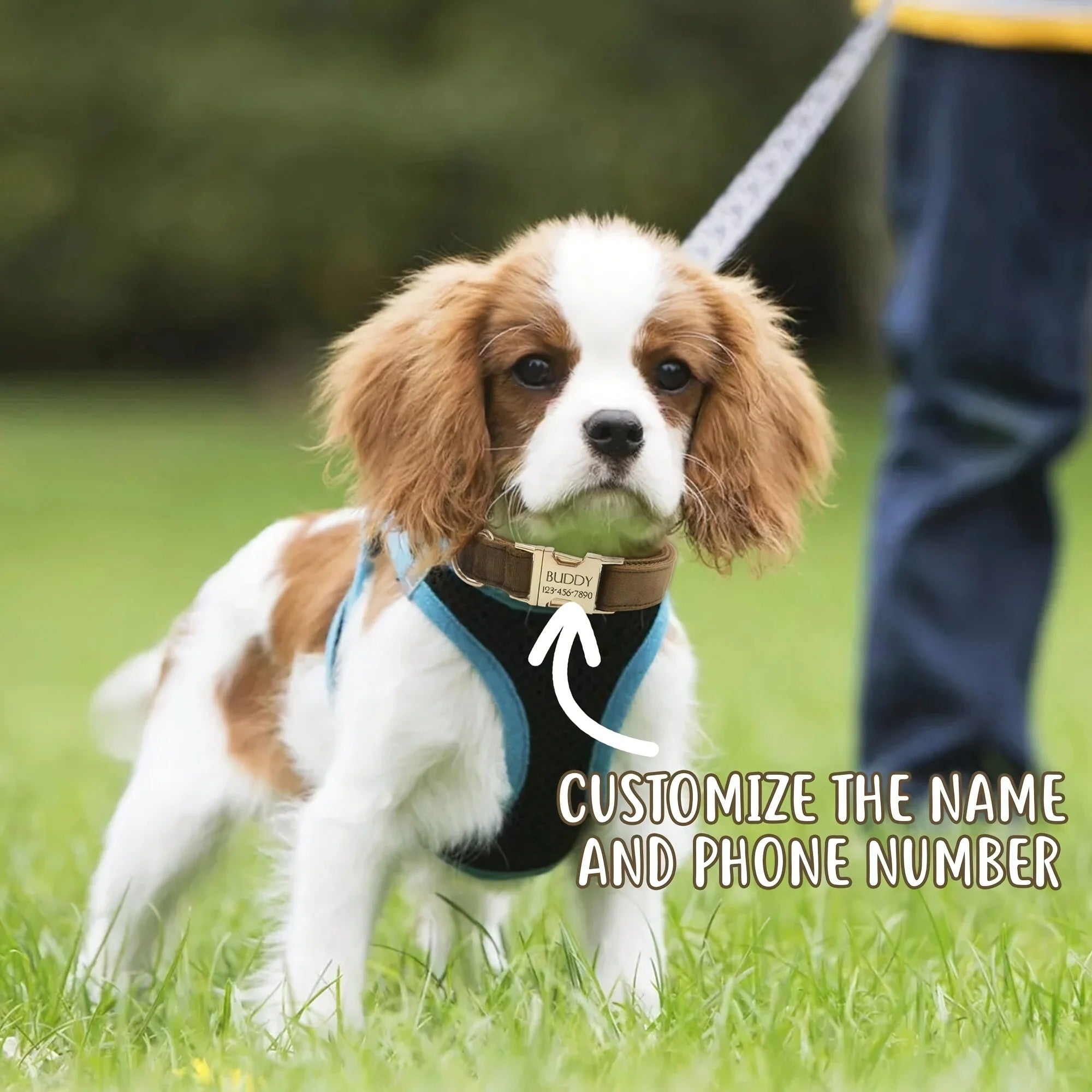 1pc Personalized Dog Collar Velvet, Engraving Custom Name Phone Number ID Tag, Soft Comfy Adjustable Collars For Large