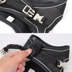 Puppy Harness Set Dog Accessories Adjustable Puppy and Cat Harness Vest French Bulldog Chihuahua Small Dog Collar Pet Leash Dogs (6kg-10kg)