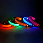 Dog Collar Nylon LED Night Safety Flashing Glow In The Dark Pet Dog Leash pet Dogs Luminous Fluorescent dog accessories collar (L)