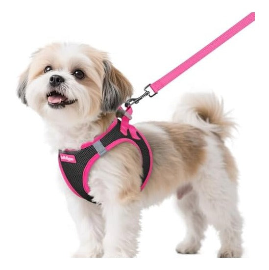 Dog Harness Small Sized and Leash Set, Step-in Breathable Pet Harness, Soft Walking Reflective Puppy Vest for Small Dogs, Black & Rose Red, S