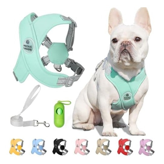 Dog Harness with Leash Set Adjustable Soft Padded Step-in Dog Vest No Choke No Pull Reflective for Small Medium Pets with Poop Bags and Dispenser, Solid and No-chew, Green M