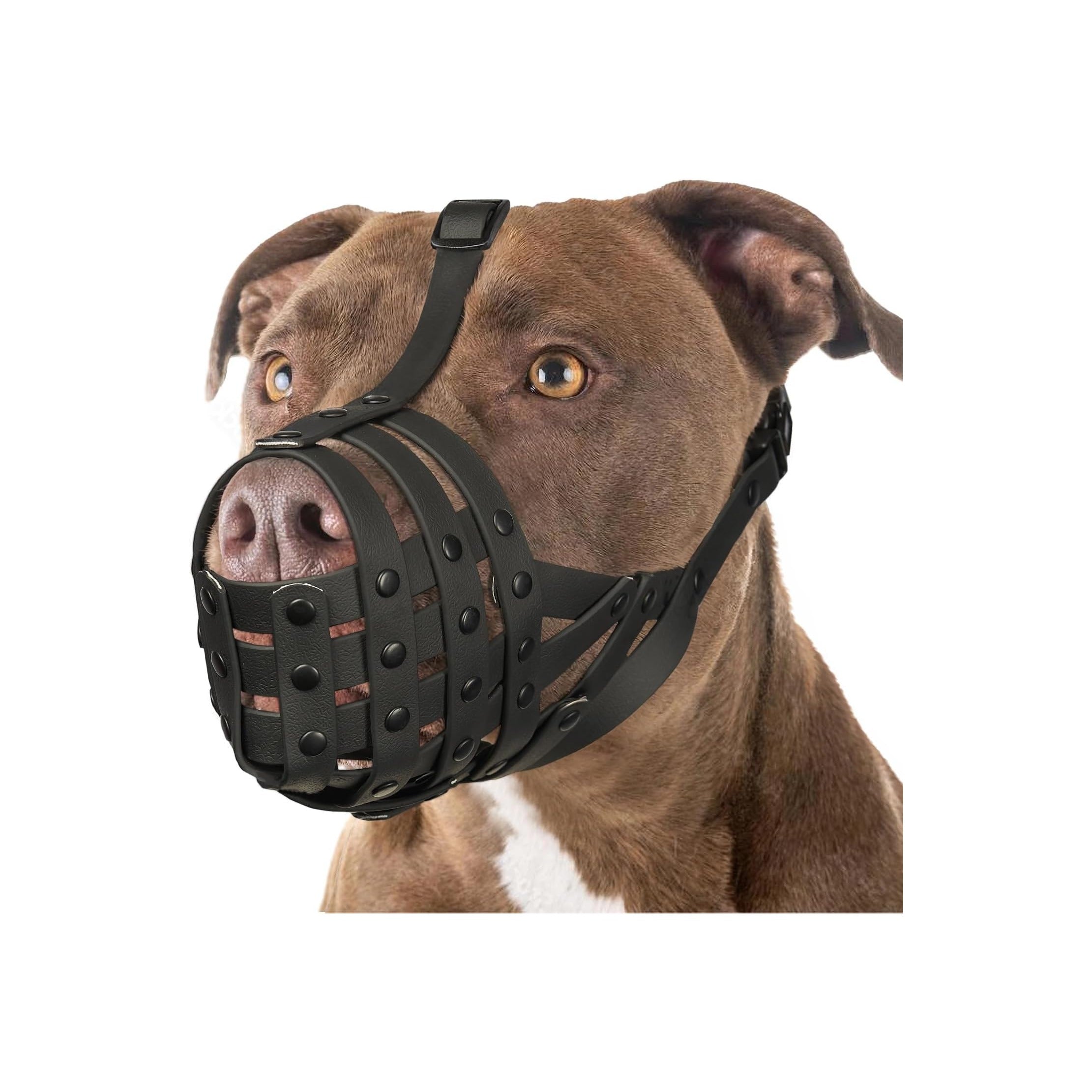 Pitbull Muzzle for Large Medium Sized Dogs to Prevent Biting Scavenging, Basket Muzzle for Rottweiler Staffordshire Terrier in Grooming Training, Allow to Pant Drink, Lightweight and Sturdy