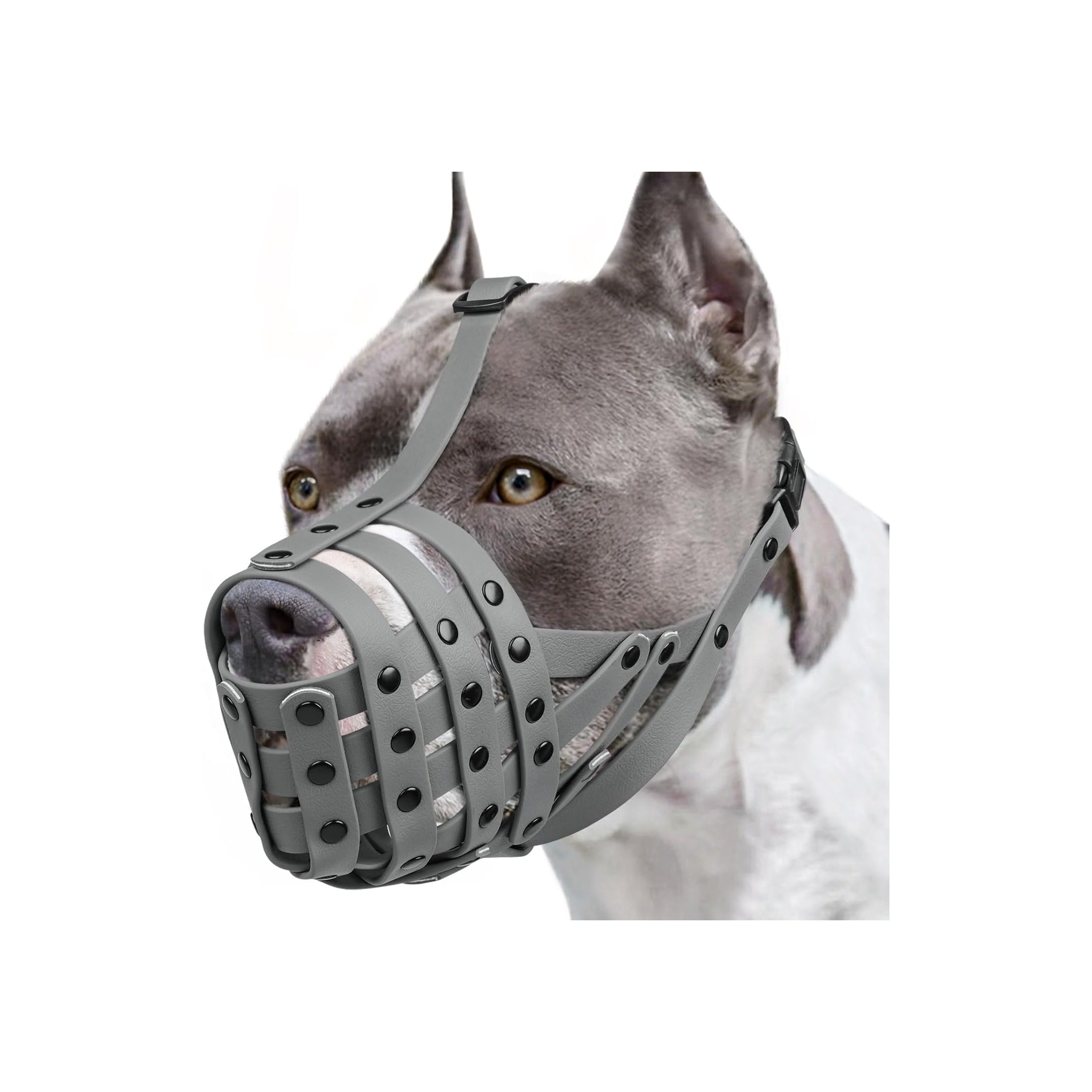 Pitbull Muzzle, Lightweight Basket Muzzle for Large Medium Dogs Rottweiler Amstaff to Prevent Biting Eating, Safe for Grooming Vet Visits Training, Allows to Pant Drink, Adjustable & Sturdy