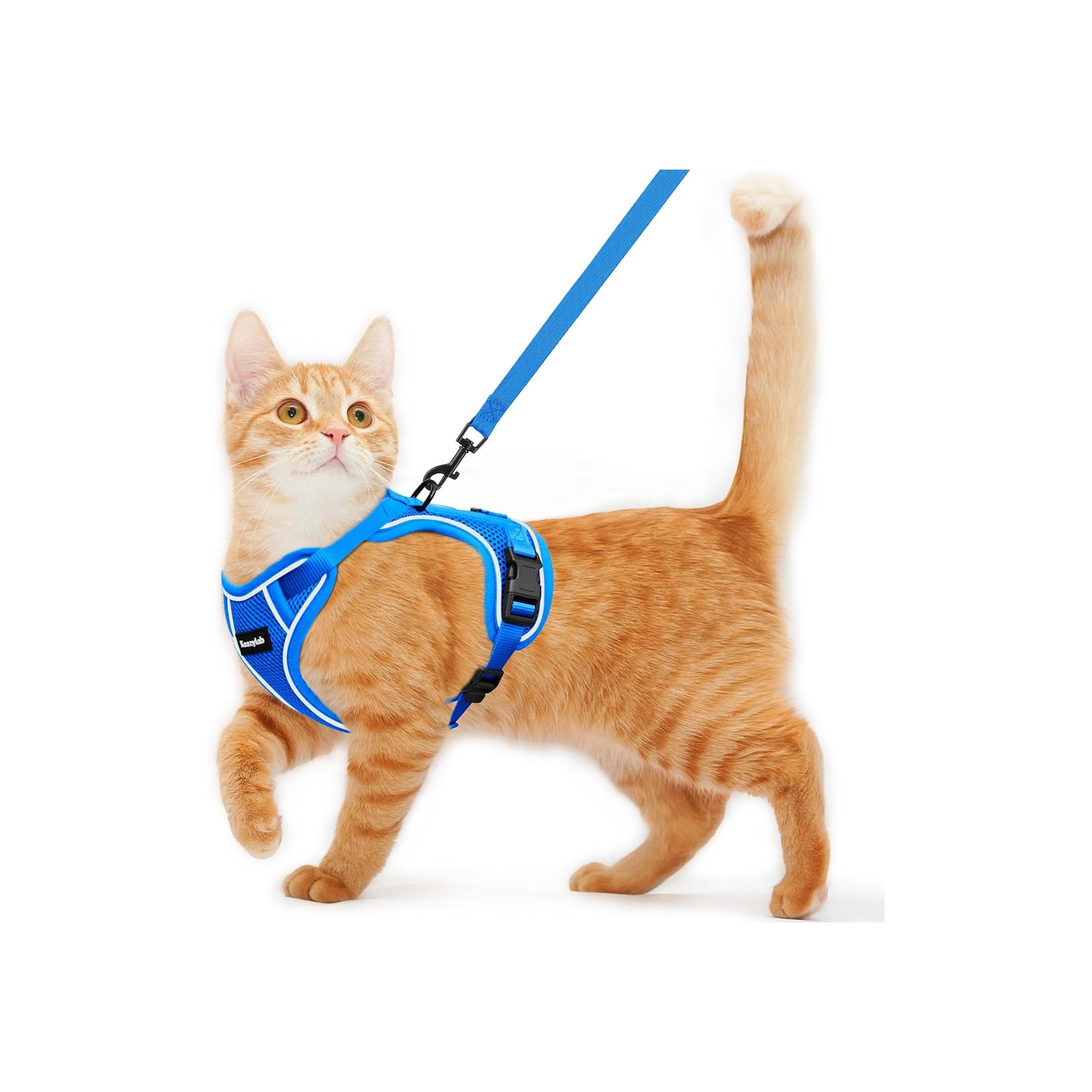 Cat Harness and Leash for Walking Escape Proof Soft Adjustable Cat Leash Breathable Comfortable Vest Easy to Wear Kitten Harness for Outdoor Travel Blue