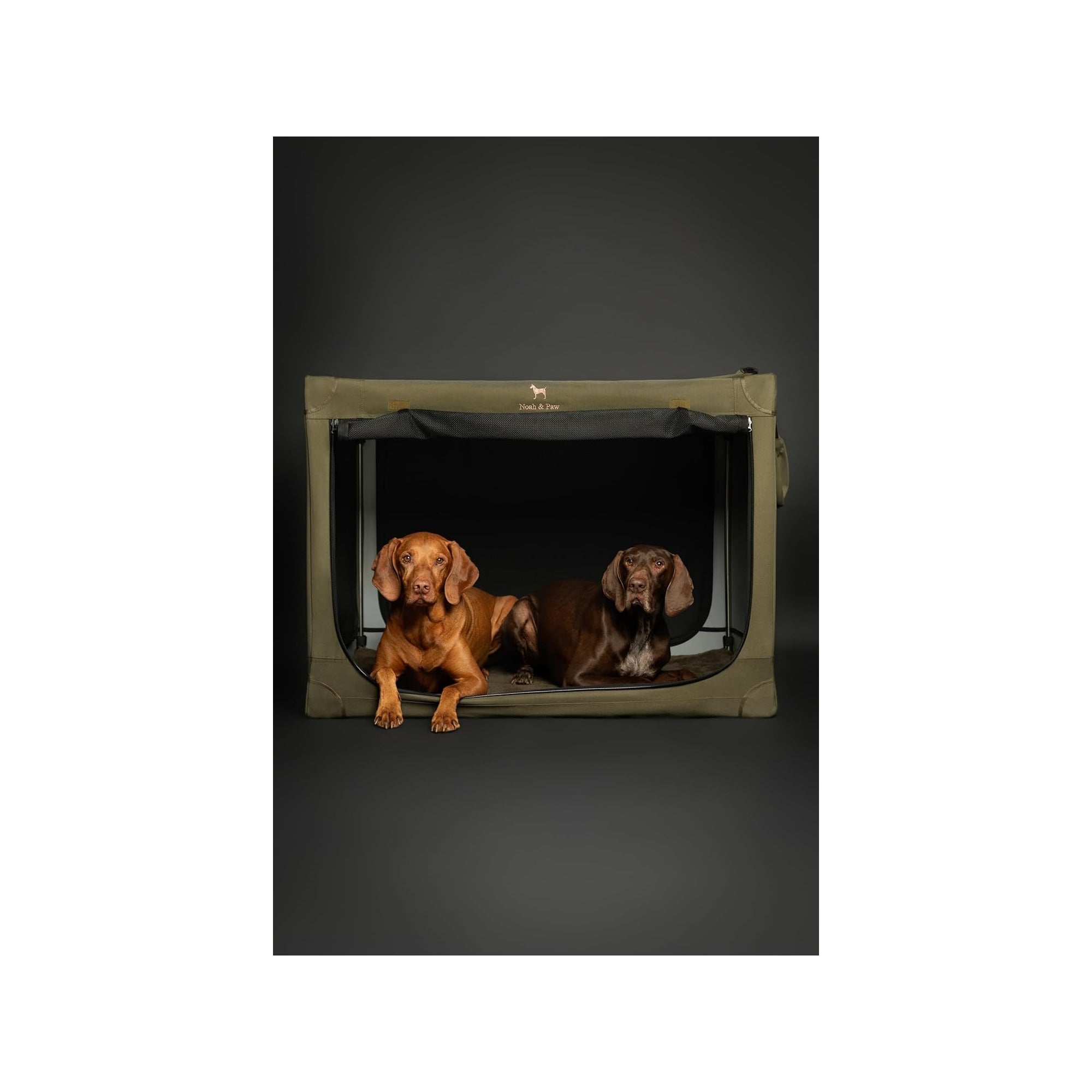 Collapsible Dog Crate 36 Inches, XL Dog Crate for XL, Large Medium Breed, Travel Kennel for Car, Includes Pet Mat for Pet Cage, 2 Storage Pockets, Handbag, 10mm Locking Zippers