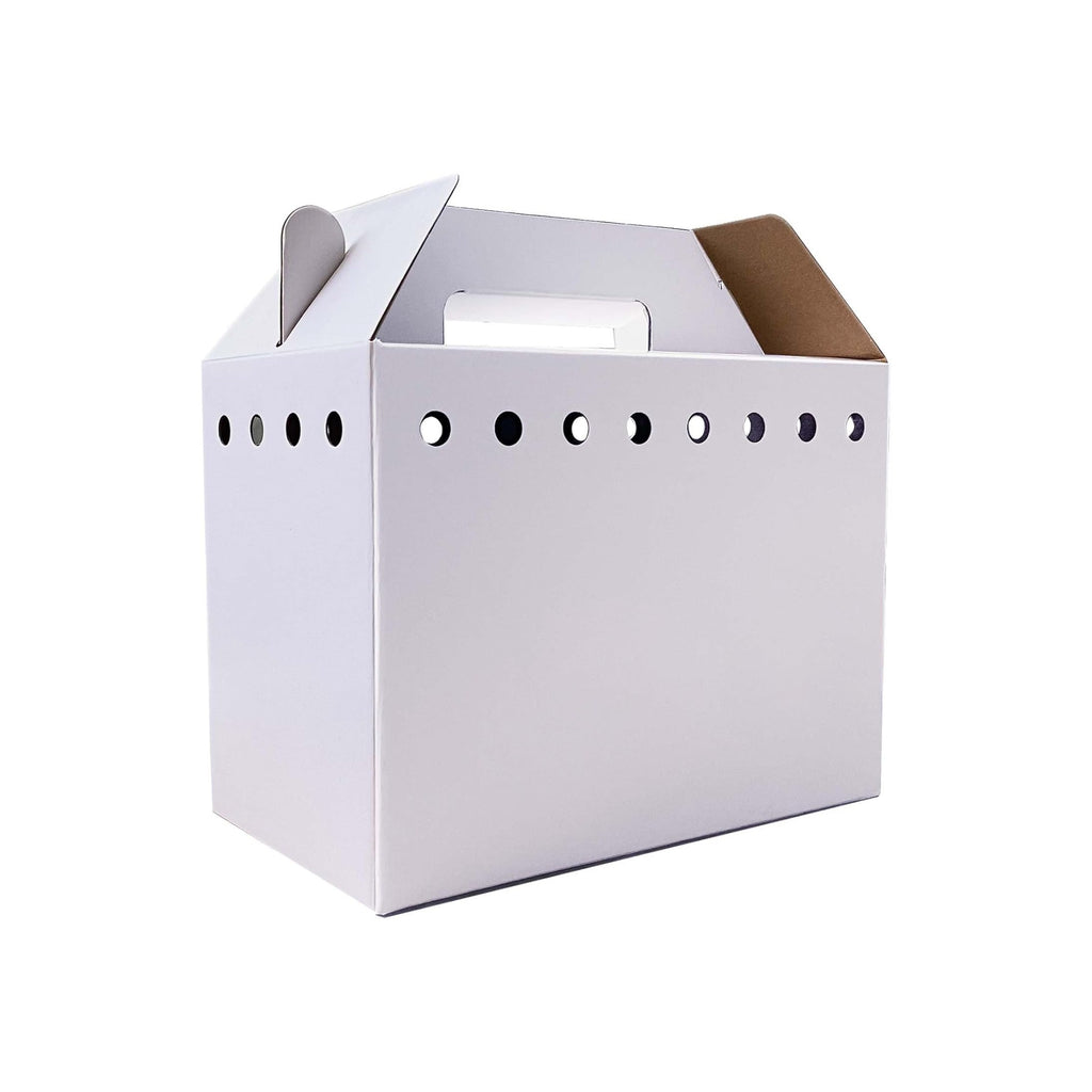 Cardboard Pet Carriers for Small Animals, Hamsters, Gerbils, Birds, Reptiles, Not for Cats or Dogs, Disposable Cardboard Pet Carrier 12 Pack